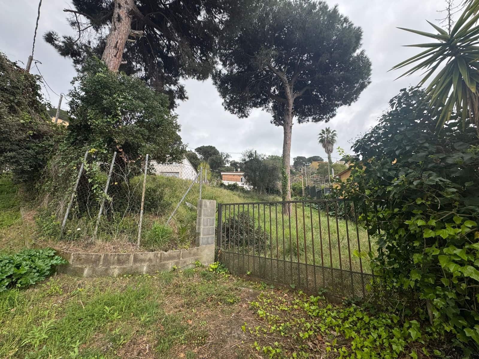 Undeveloped Land for sale in Tordera - € 39,500 (Ref: 9698109)