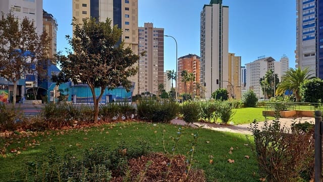 Local Comercial en Benidorm en alquiler - 850 € (Ref: 9458580)