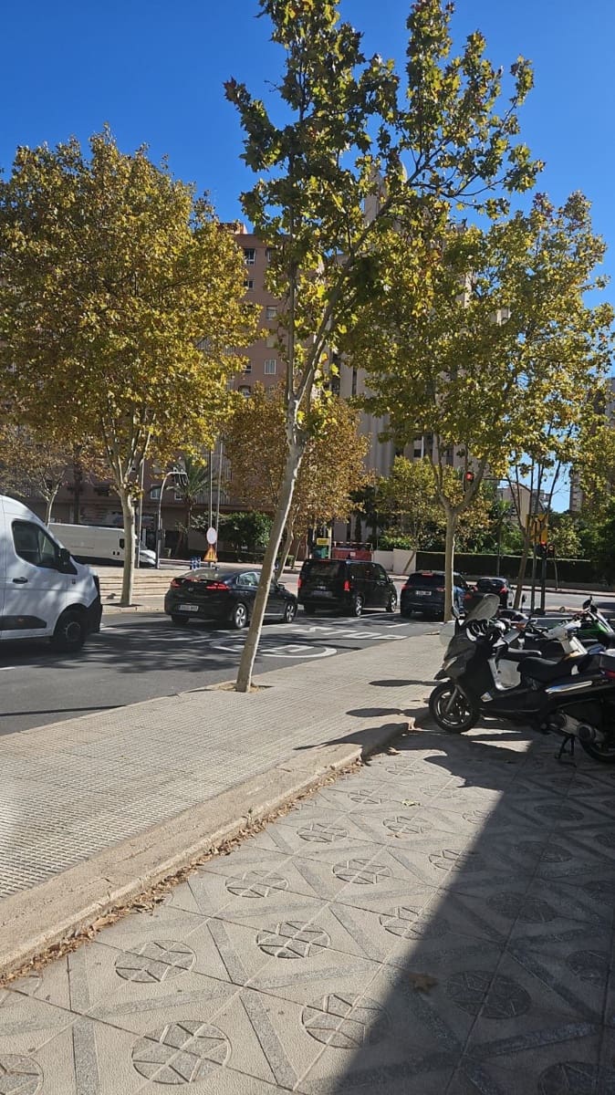 Local Comercial en Benidorm en alquiler - 2.000 € (Ref: 9458613)