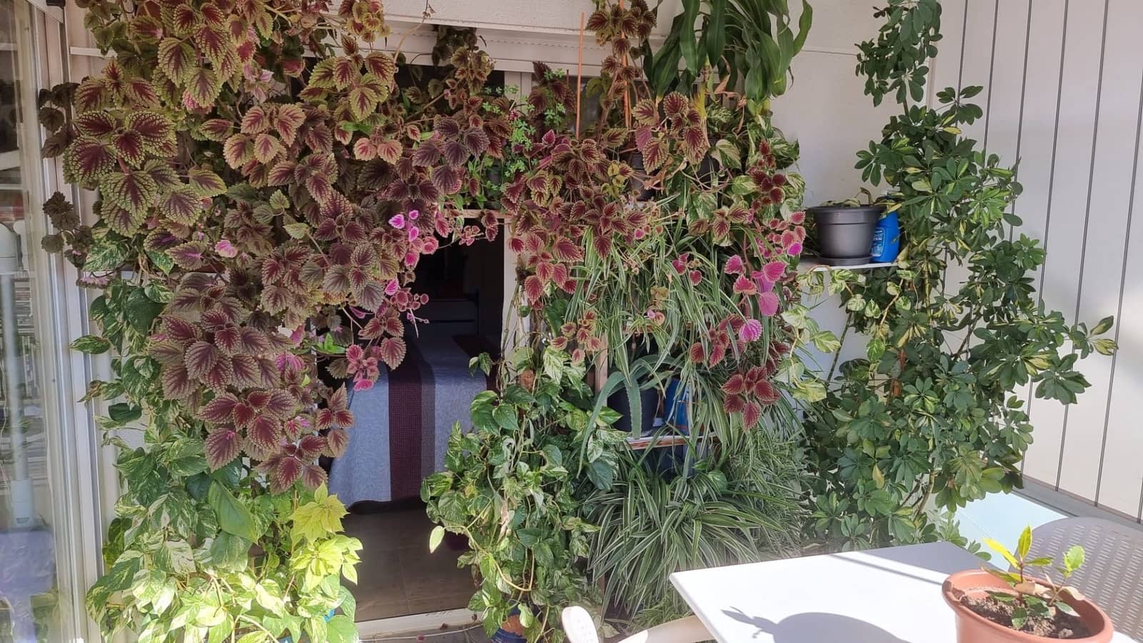 3 Zimmer Penthouse zu verkaufen in La Villajoyosa / Vila Joiosa mit Garage - 569.999 € (Ref: 9458615)