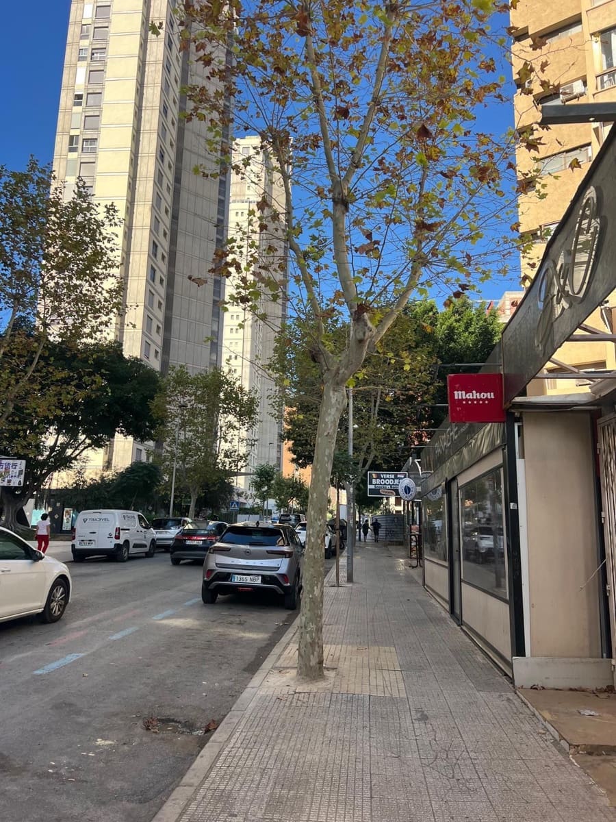 Commercial for rent in Benidorm - € 1,200 (Ref: 9503820)
