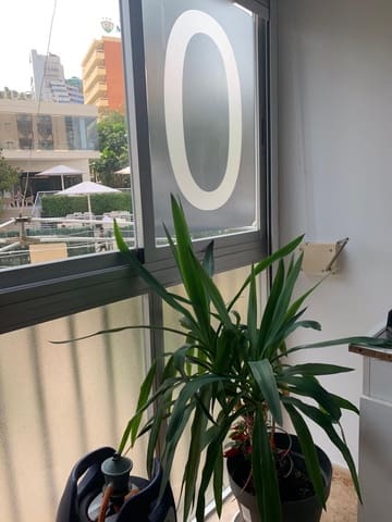 4 sovrum Lägenhet till salu i Benidorm med garage - 550 000 € (Ref: 9550595)