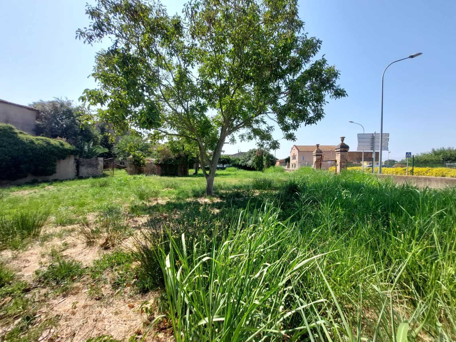 5 quarto Moradia para venda em Serra de Daro - 850 000 € (Ref: 10046855)