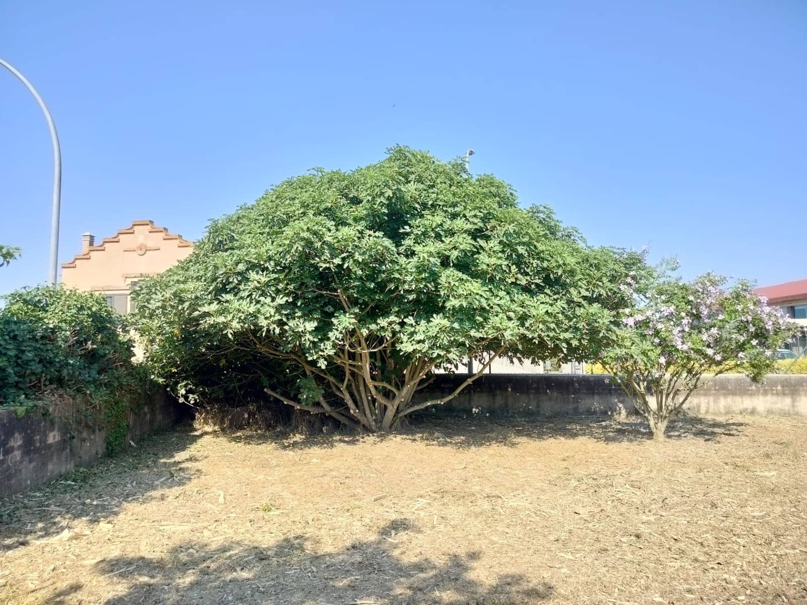 5 quarto Moradia para venda em Serra de Daro - 850 000 € (Ref: 10046855)
