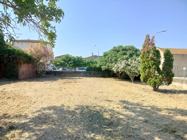 5 quarto Moradia para venda em Serra de Daró - 850 000 € (Ref: 10046855)