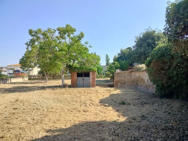 5 quarto Moradia para venda em Serra de Daró - 850 000 € (Ref: 10046855)