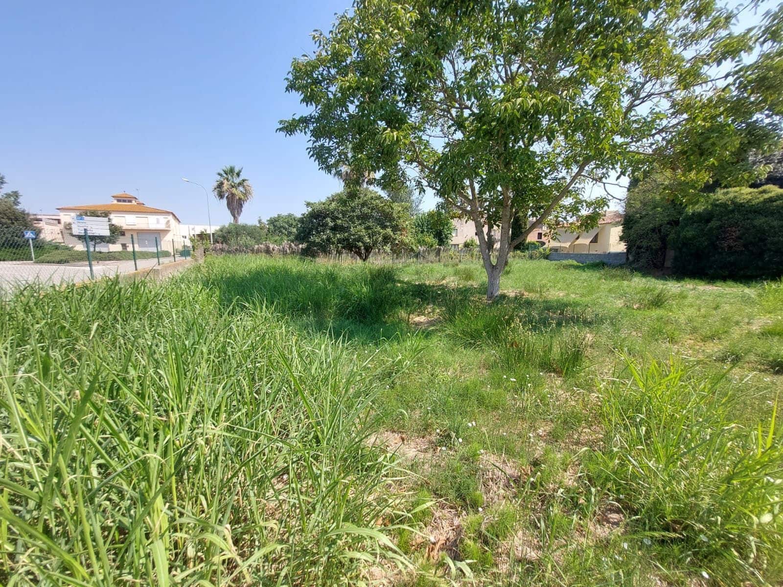 5 quarto Moradia para venda em Serra de Daro - 850 000 € (Ref: 10046855)