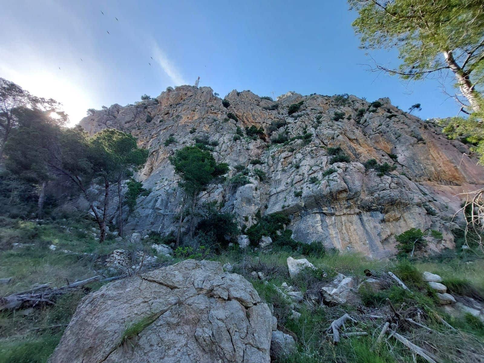 Działka budowlana na sprzedaż w L'Estartit - 98 000 € (Ref: 8339423)