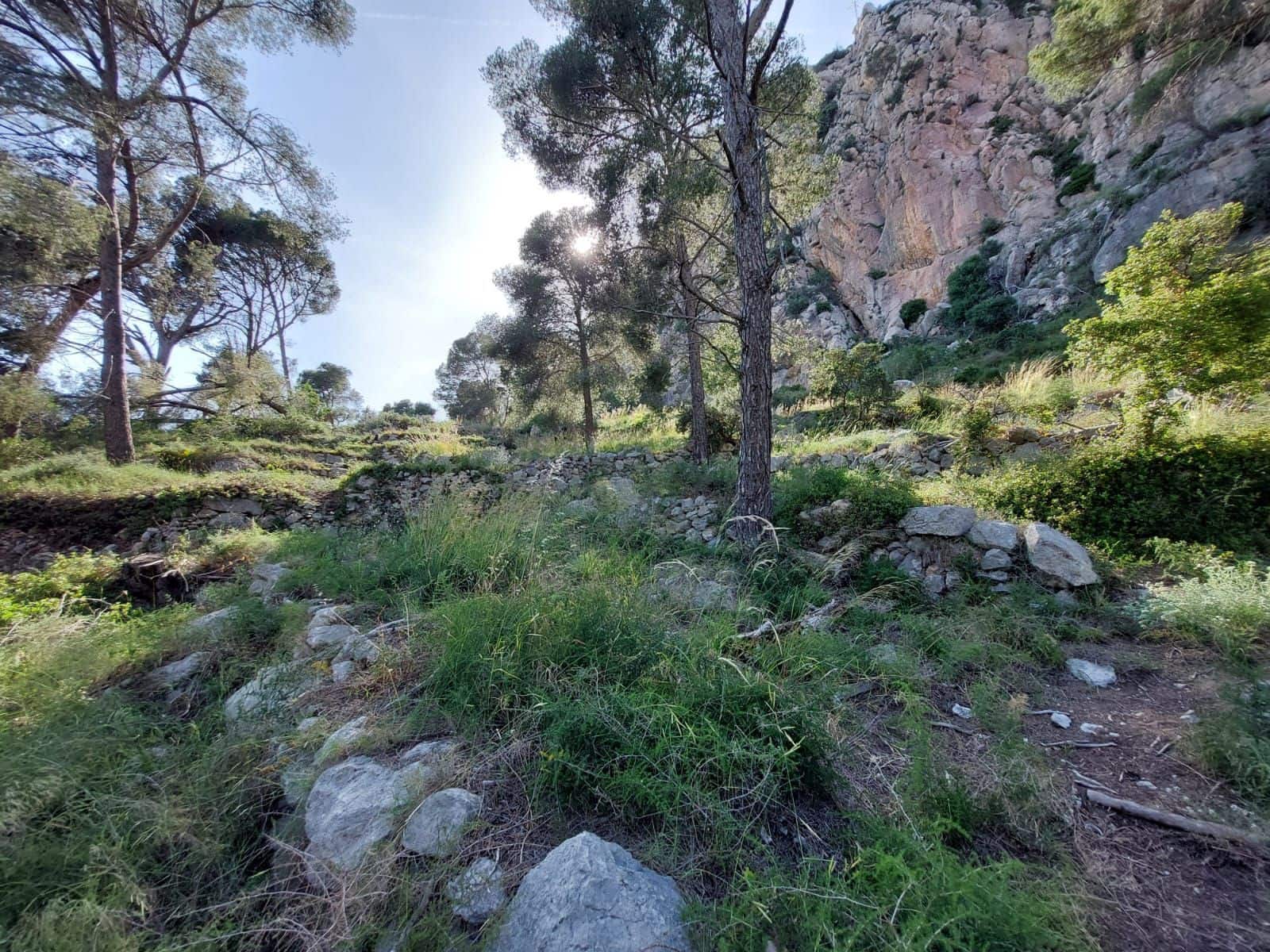 Działka budowlana na sprzedaż w L'Estartit - 98 000 € (Ref: 8339423)