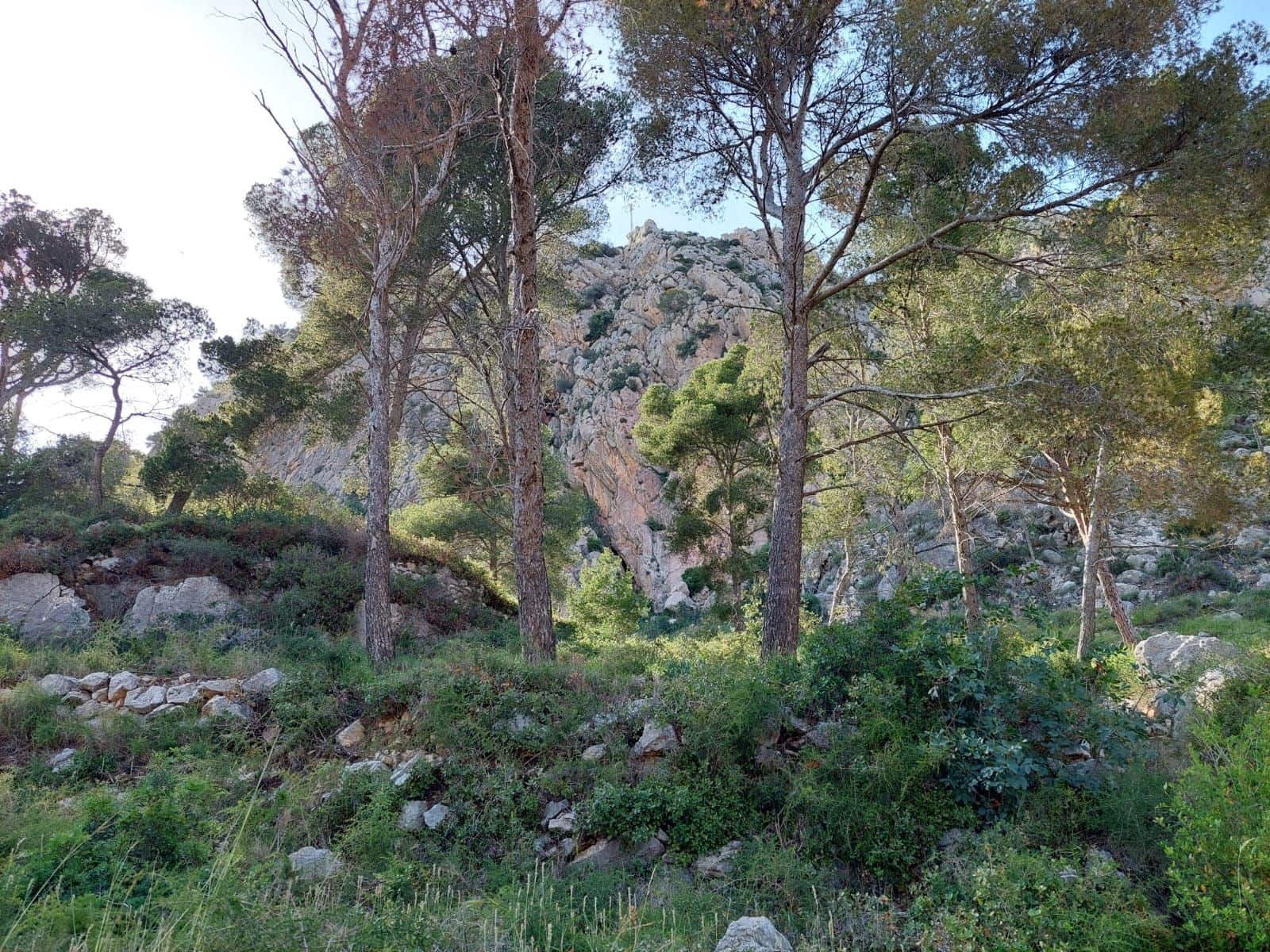 Działka budowlana na sprzedaż w L'Estartit - 98 000 € (Ref: 8339423)