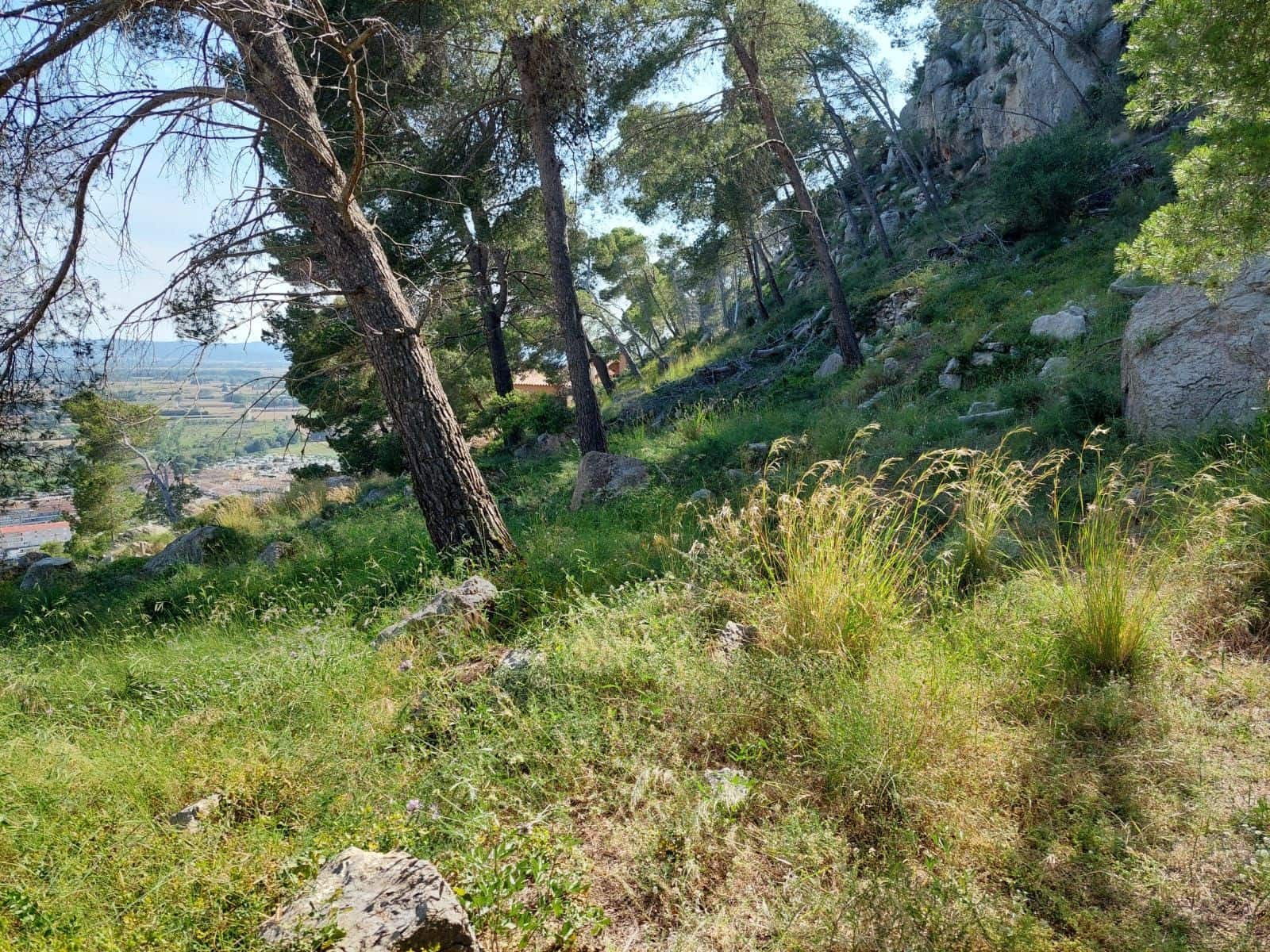 Działka budowlana na sprzedaż w L'Estartit - 98 000 € (Ref: 8339423)