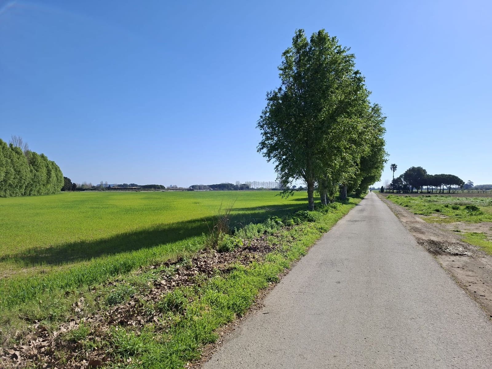 3 soveværelse Finca/Landehus til salg i L'Estartit med swimmingpool garage - € 1.150.000 (Ref: 9627267)