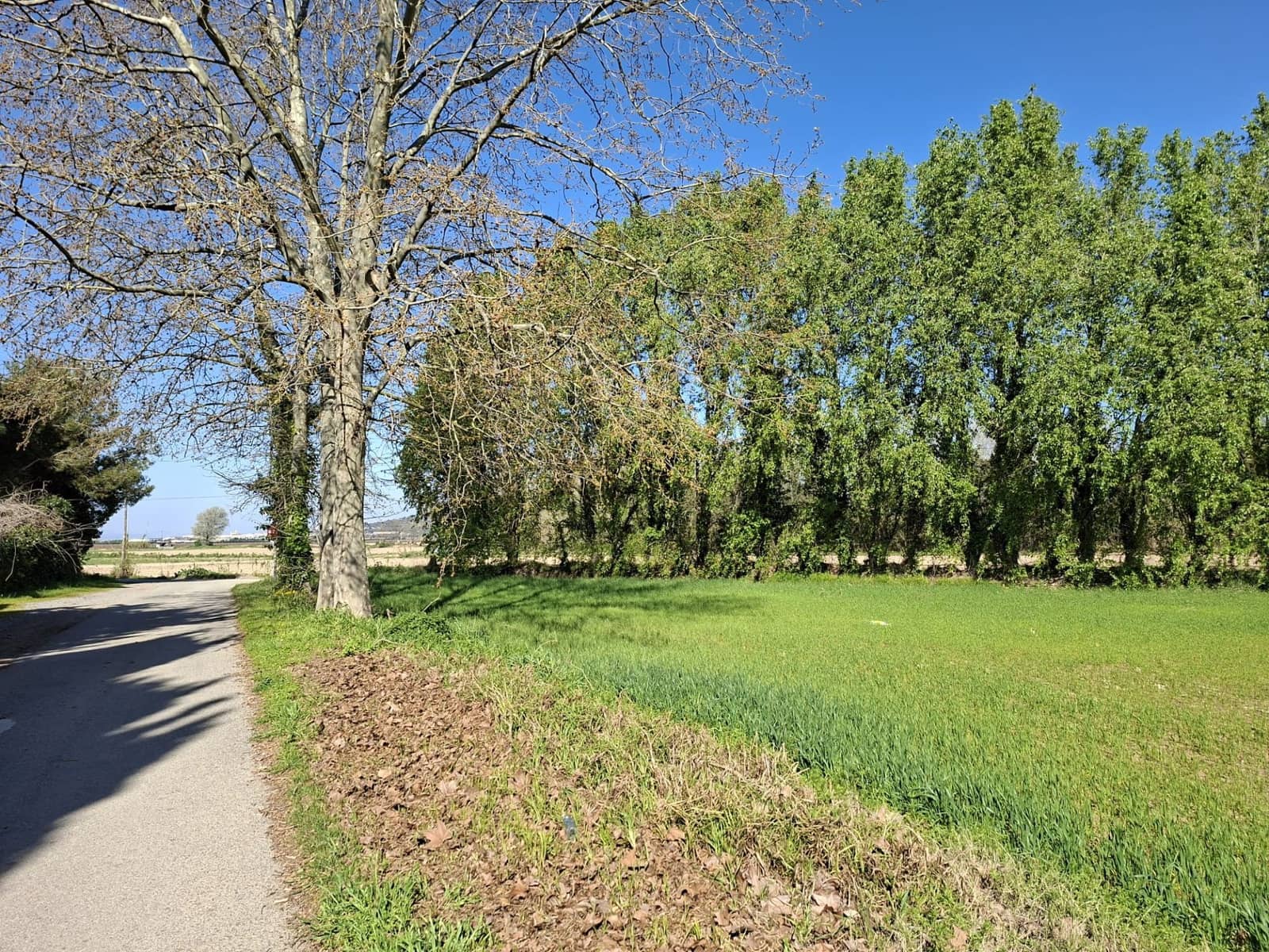 3 soveværelse Finca/Landehus til salg i L'Estartit med swimmingpool garage - € 1.150.000 (Ref: 9627267)