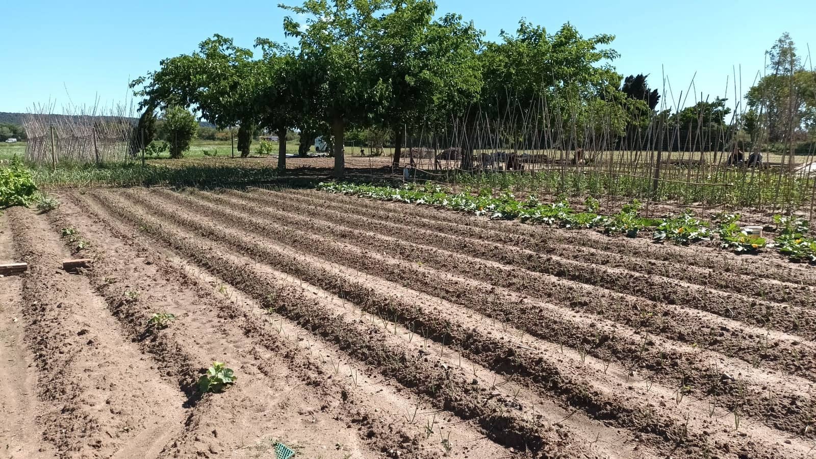 Finca/Landhuis te koop in L'Estartit - € 50.000 (Ref: 9895812)