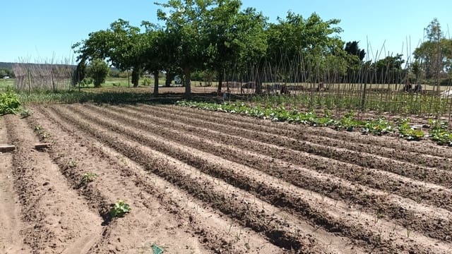 Finca/Landhuis te koop in L'Estartit, Torroella de Montgrí - € 50.000 (Ref: 9895812)