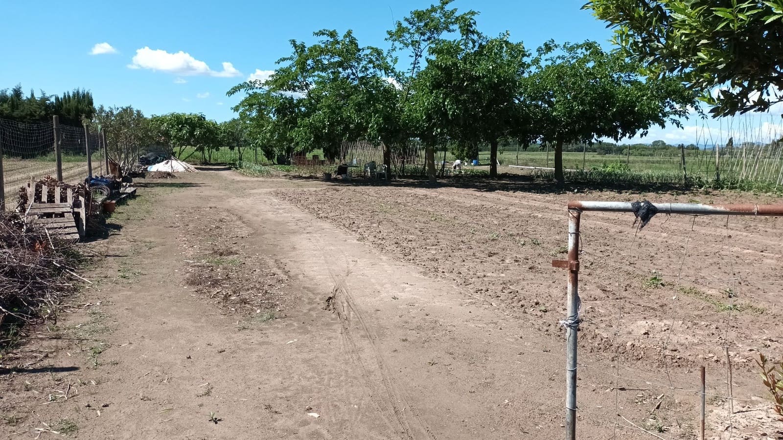 Finca/Landhuis te koop in L'Estartit - € 50.000 (Ref: 9895812)