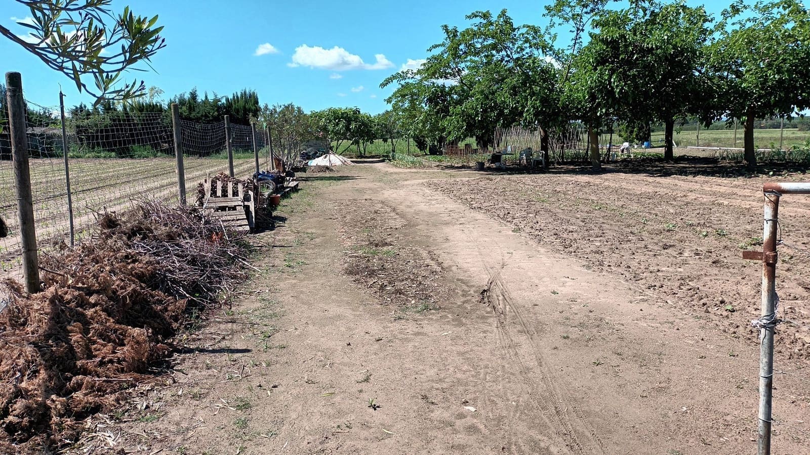 Finca/Landhuis te koop in L'Estartit - € 50.000 (Ref: 9895812)