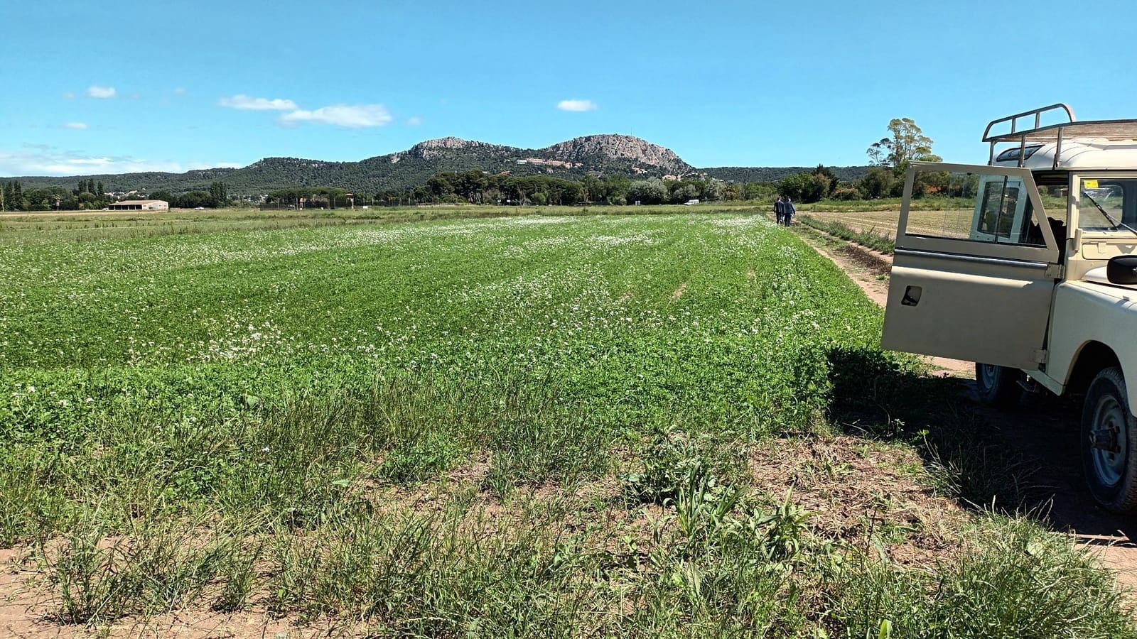 Finca/Landhuis te koop in L'Estartit - € 50.000 (Ref: 9895812)
