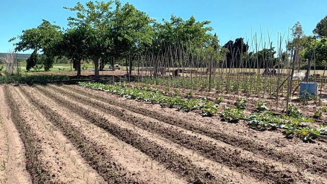 Finca/Landhuis te koop in L'Estartit, Torroella de Montgrí - € 50.000 (Ref: 9895812)