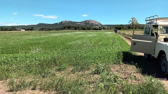 Finca/Landhuis te koop in L'Estartit, Torroella de Montgrí - € 50.000 (Ref: 9895812)