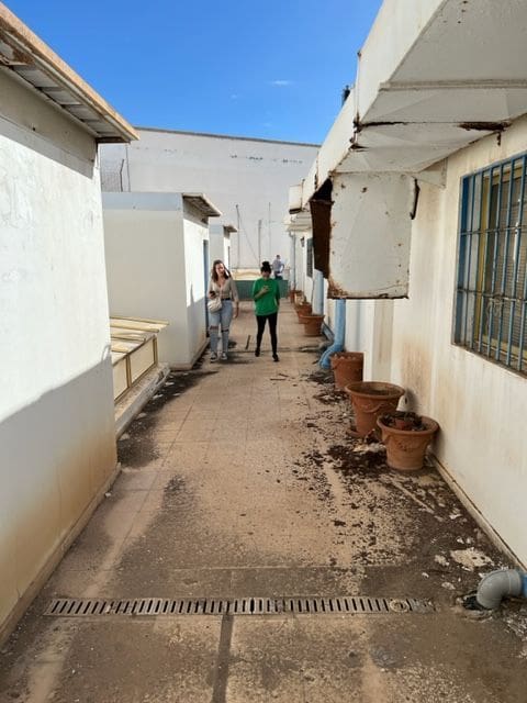 Oficina en Las Palmas de Gran Canaria en venta - 700.000 € (Ref: 9834727)