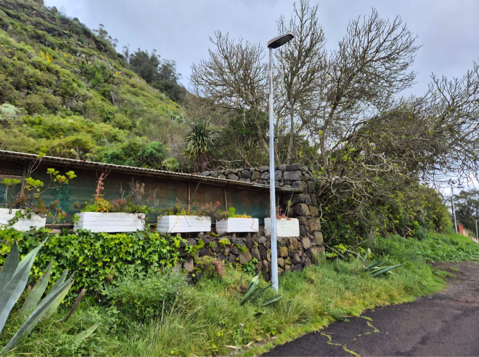 1 bedroom Finca/Country House for sale in San Cristobal de La Laguna - € 94,000 (Ref: 9834735)