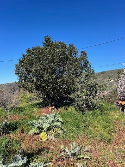 3 bedroom Finca/Country House for sale in Jama with garage - € 385,000 (Ref: 9834739)