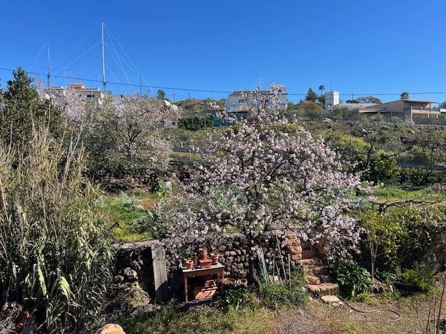 3 bedroom Finca/Country House for sale in Jama with garage - € 385,000 (Ref: 9834739)
