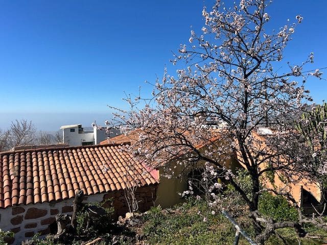 3 bedroom Finca/Country House for sale in Jama with garage - € 385,000 (Ref: 9834739)