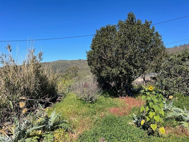 3 bedroom Finca/Country House for sale in Jama with garage - € 385,000 (Ref: 9834739)