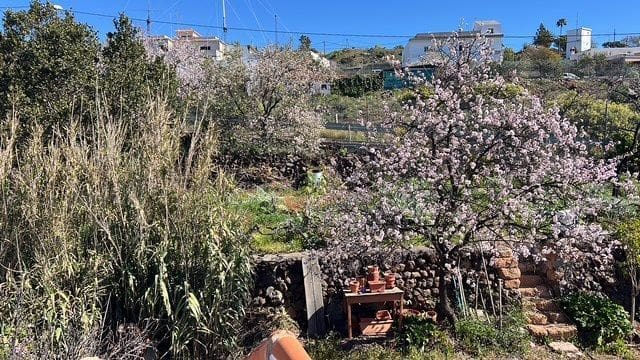 3 bedroom Finca/Country House for sale in Jama with garage - € 385,000 (Ref: 9834739)