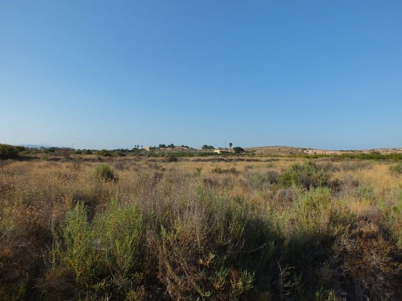 Grunde uden byggetilladelser til salg i El Altet - € 35.000 (Ref: 4993328)
