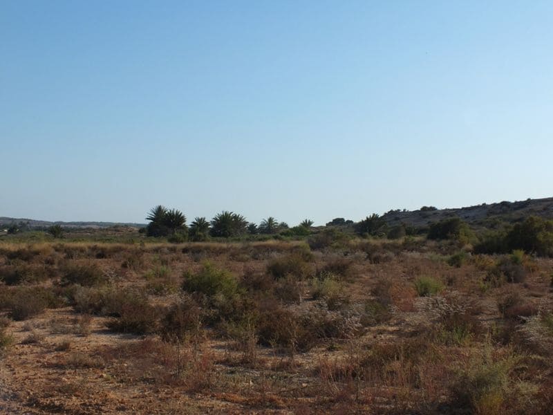 Grunde uden byggetilladelser til salg i El Altet - € 35.000 (Ref: 4993328)