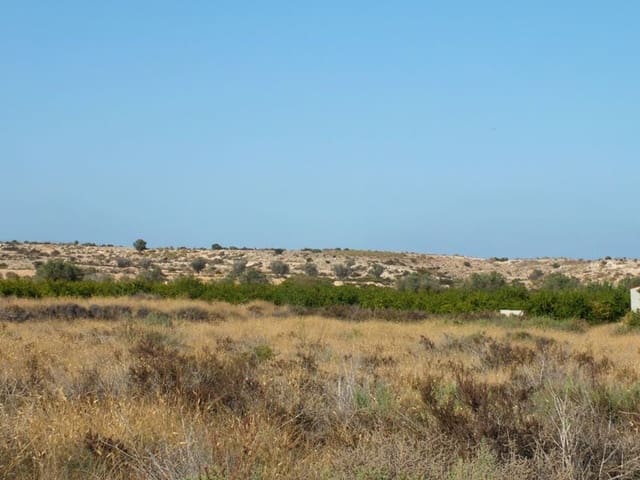 Undeveloped Land for sale in El Altet, Elche / Elx - € 35,000 (Ref: 4993328)