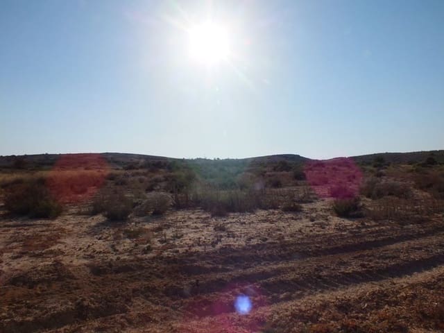 Undeveloped Land for sale in El Altet, Elche / Elx - € 35,000 (Ref: 4993328)