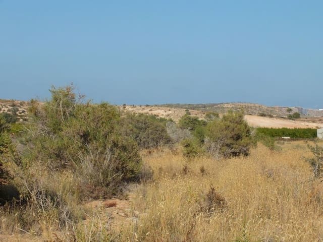 Undeveloped Land for sale in El Altet, Elche / Elx - € 35,000 (Ref: 4993328)