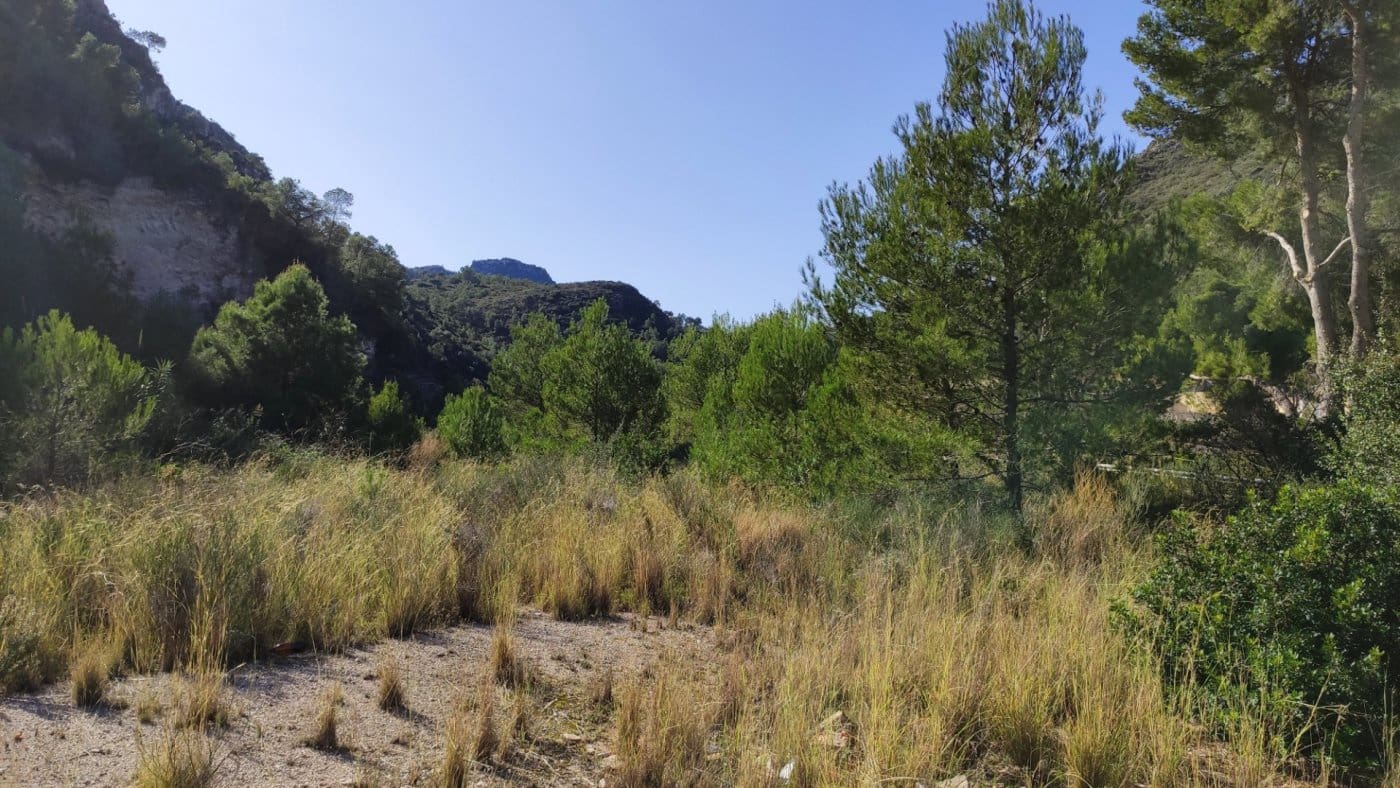 Finca/Landehus til salg i Adsubia - € 80.000 (Ref: 5730076)