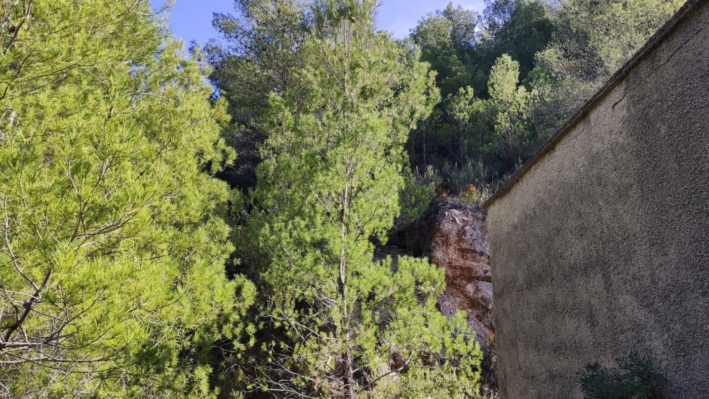 Finca/Landehus til salg i Adsubia - € 80.000 (Ref: 5730076)