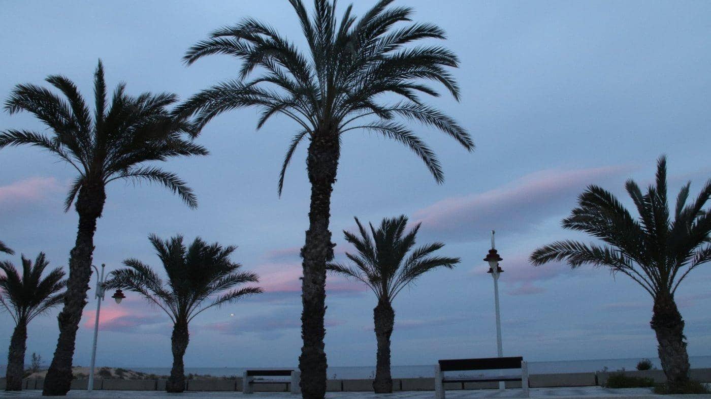 2 quarto Apartamento para venda em Arenales del Sol com piscina garagem - 210 000 € (Ref: 9064626)