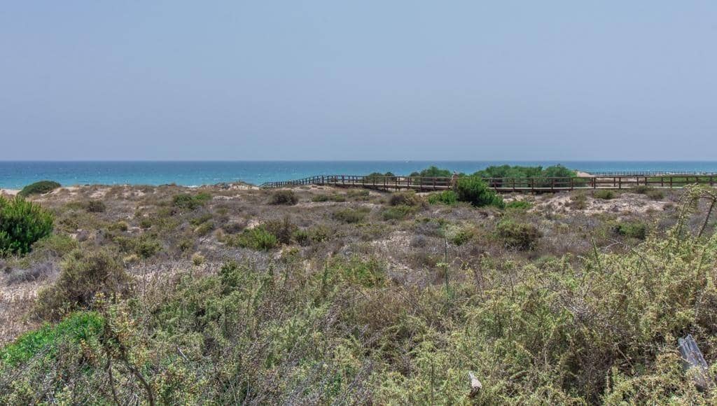 2 slaapkamer Appartement te koop in Arenales del Sol met zwembad garage - € 395.000 (Ref: 9064628)