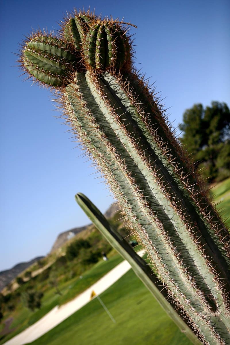 2 makuuhuone Huoneisto myytävänä paikassa Monforte del Cid mukana uima-altaan 
autotalli - 220 000 € (Ref: 9064634)