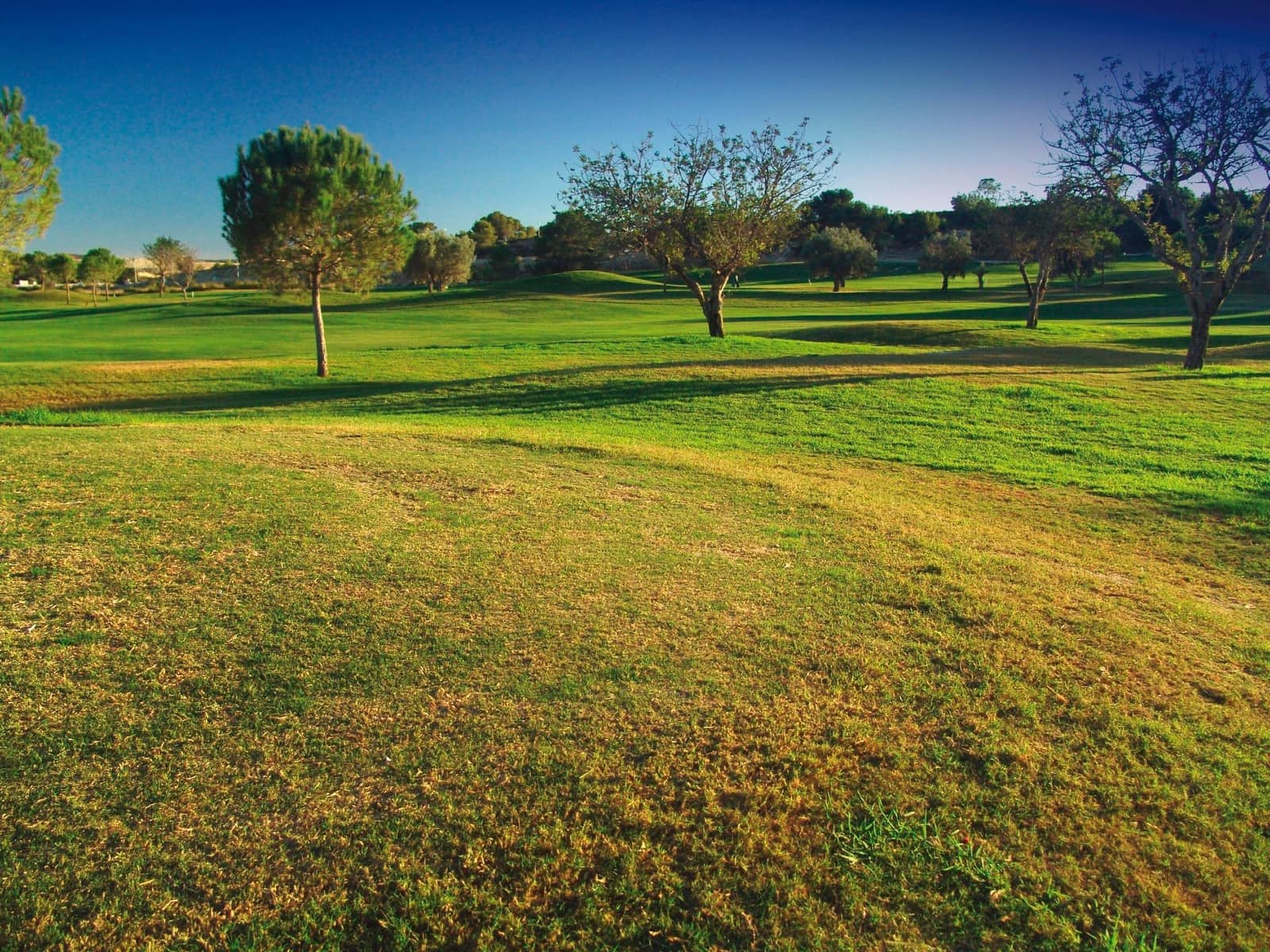 3 makuuhuone Huoneisto myytävänä paikassa Monforte del Cid mukana uima-altaan 
autotalli - 280 000 € (Ref: 9064640)