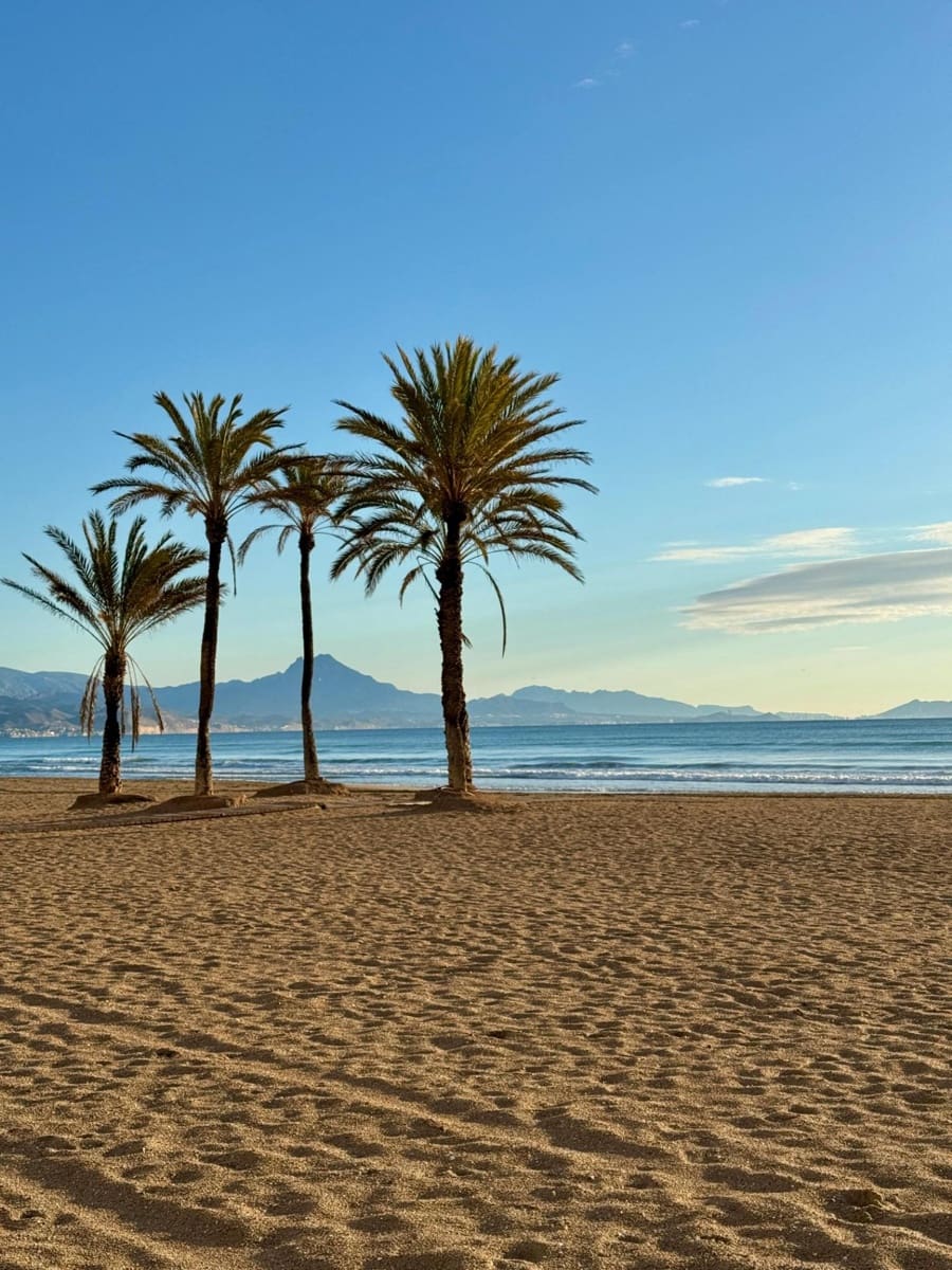 2 chambre Appartement à vendre à Playa de San Juan avec piscine - 410 000 € (Ref: 9730260)