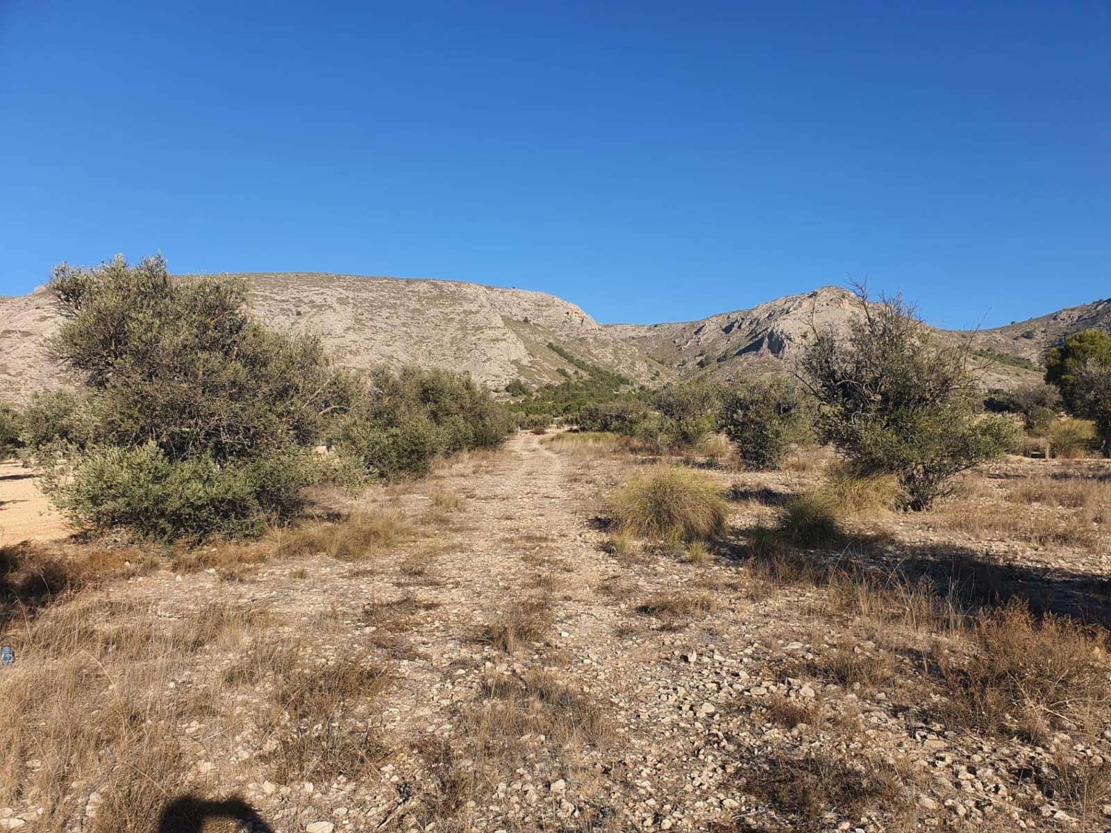 Terreno/Finca Rústica en Villena en venta - 56.500 € (Ref: 9898702)
