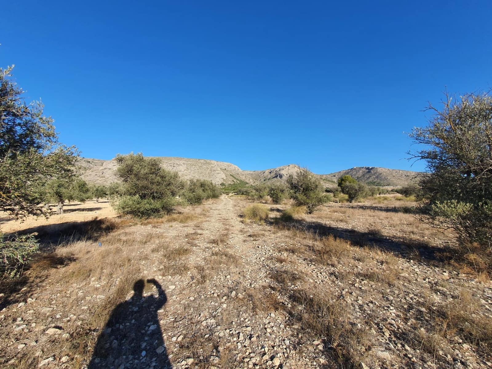 Terreno/Finca Rústica en Villena en venta - 56.500 € (Ref: 9898702)