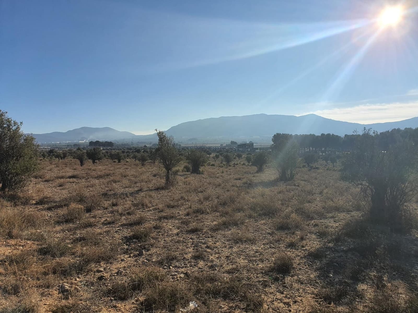 Terreno/Finca Rústica en Villena en venta - 56.500 € (Ref: 9898702)
