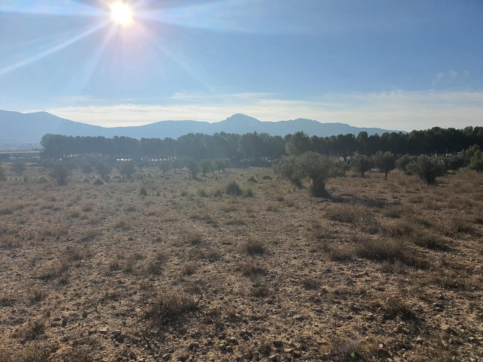 Terreno/Finca Rústica en Villena en venta - 56.500 € (Ref: 9898702)
