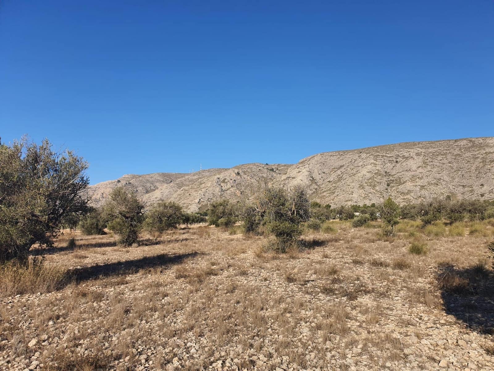 Terreno/Finca Rústica en Villena en venta - 56.500 € (Ref: 9898702)