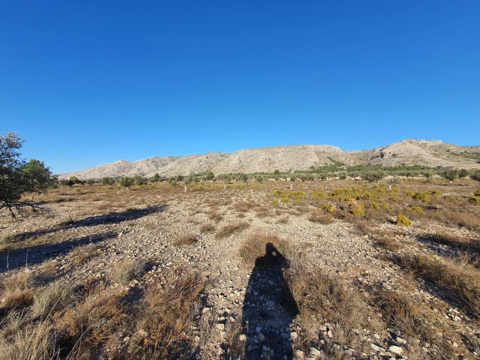 Terreno/Finca Rústica en Villena en venta - 56.500 € (Ref: 9898702)