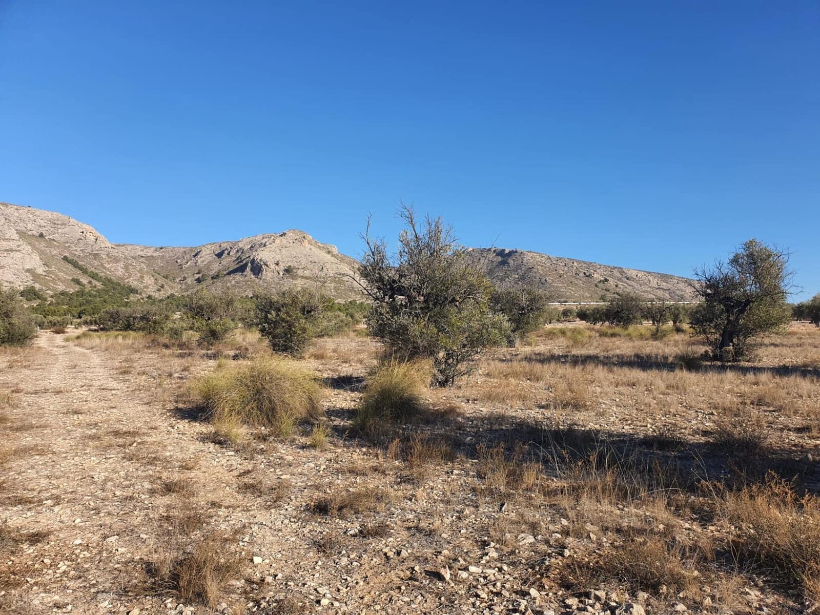 Terreno/Finca Rústica en Villena en venta - 56.500 € (Ref: 9898702)